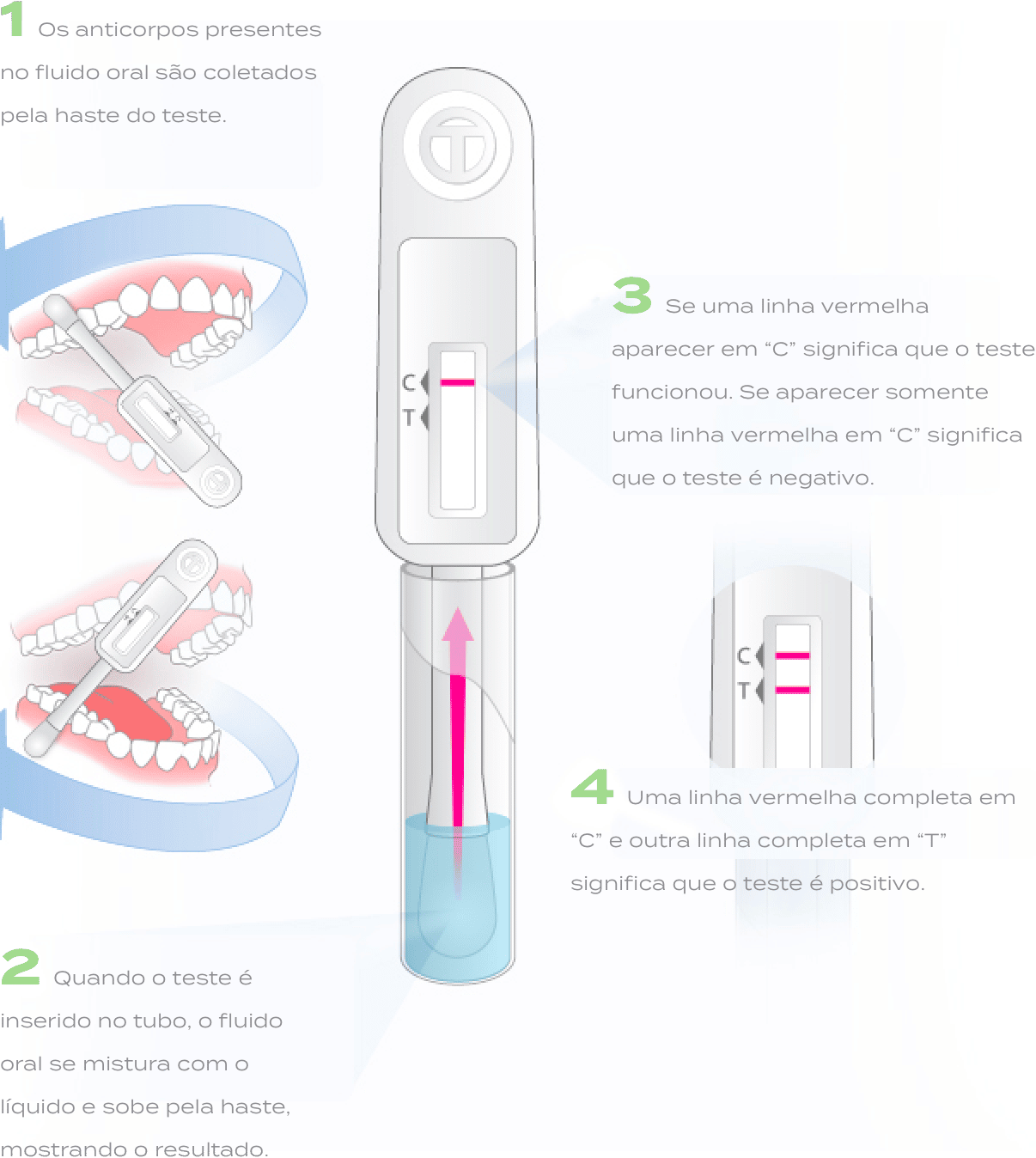 Como o teste de fluido oral funciona?